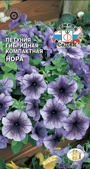 Петуния Нора F1 10шт ц/п (Седек) св.фиолет.