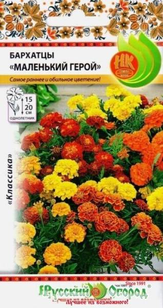 Бархатцы Маленький герой 0,2г ц/п (НК) 15-20см