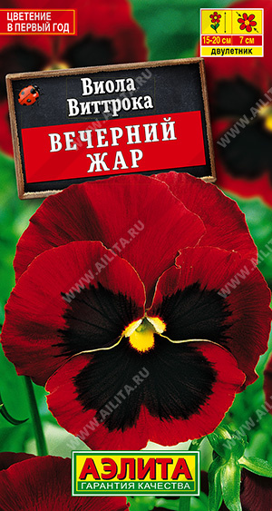 Виола Вечерний жар ц/п (Аэлита)