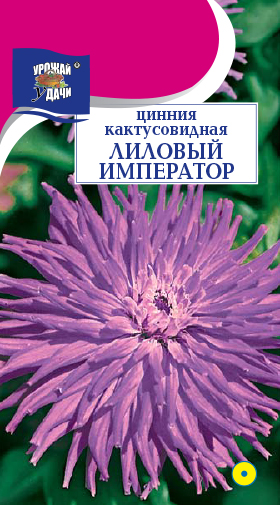 Цинния Лиловый император 0,2г ц/п (УУ) кактус.