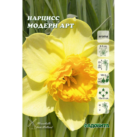 Нарцисс Маринер  12/14 1шт (Садовита) 3шт/уп