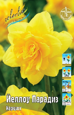 Нарцисс Йеллоу Парадайз 12/14 1шт (КолЛайн)