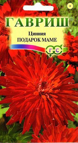 Цинния Подарок маме 0,3г ц/п (Гавриш) красная,90см,круп.соцв.