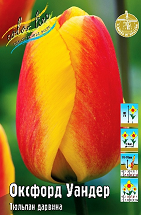 Тюльпан Оксфорд Уандер 1шт (КолЛайн) 3шт/уп