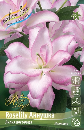 Лилия Roselily&Аннушка 16/18 1шт (КолЛайн) 3шт/уп