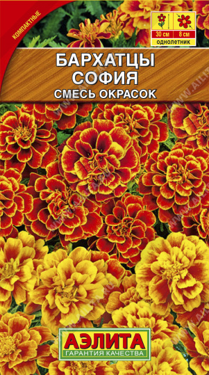Бархатцы София, смесь 0,3г ц/п (Аэлита) 30см 8см 