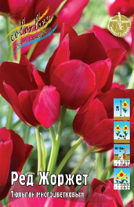 Тюльпан Ред Жоржет 1шт (КолЛайн) 8шт/уп темно-красный