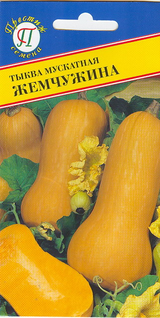 Тыква Жемчужина мускатная 5шт (Престиж) поздняя,масса до 7кг.
