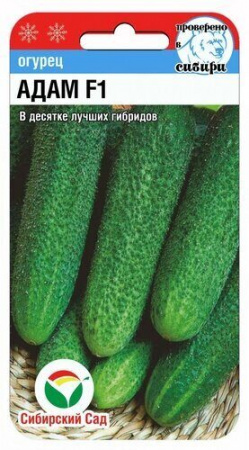Огурец Адам F1 5шт (СибСад)