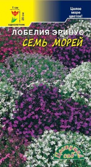 Лобелия Семь морей, смесь 0,03г ц/п (ЦвСад)