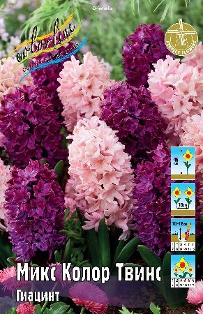Гиацинт Микс Колор Твинс 14/15 1шт (КолЛайн) 3шт/уп