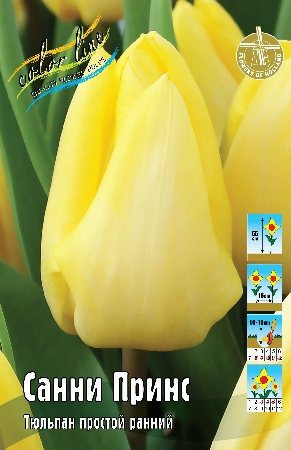 Тюльпан Санни Принс 1шт (КолЛайн) 8шт/уп