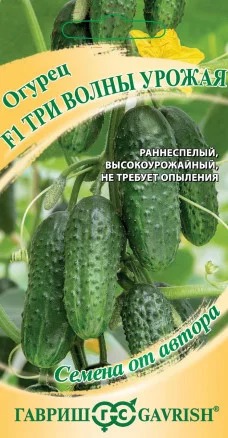 Огурец Три волны урожая F1 10шт ц/п (Гавриш)