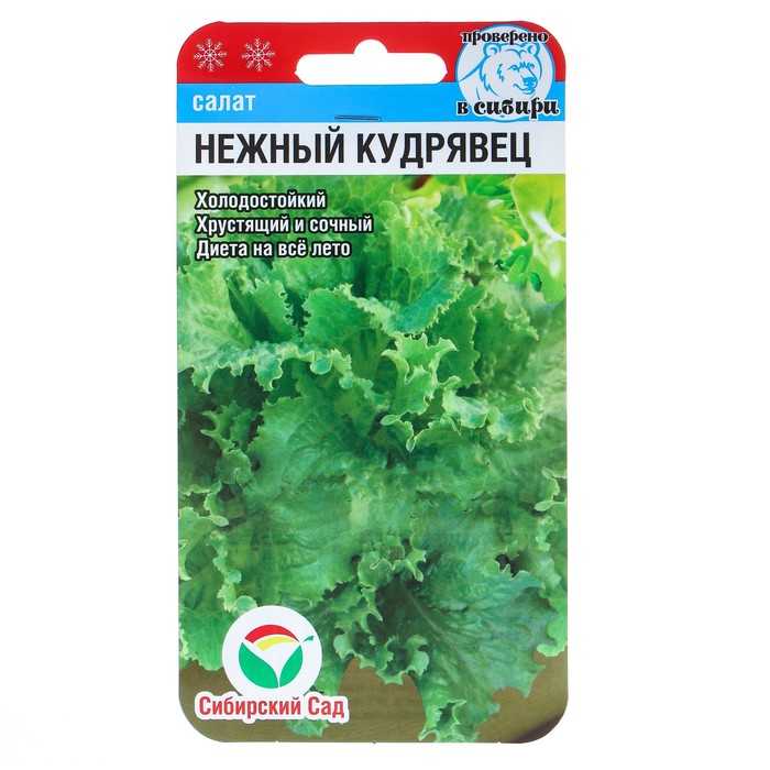 Салат Нежный кудрявец 0,5г (СибСад)