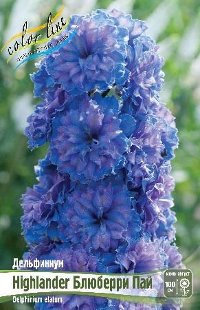 Дельфиниум Блюберри Пай 1шт (КолЛайн)