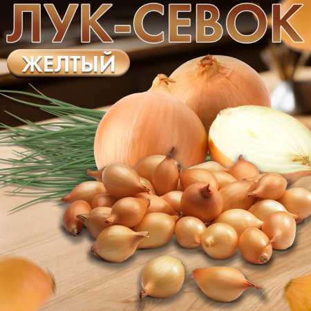 Лук севок Геркулес F1 21/24 20кг/м (+/- 3%) (Лукаморе)