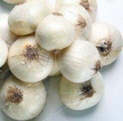 Лук севок Стардаст 10/21 10кг (+/- 5%) (TOP B.V.) белый