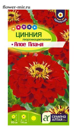 Цинния Алое пламя 0,2г ц/п (СемАлт) георгин.