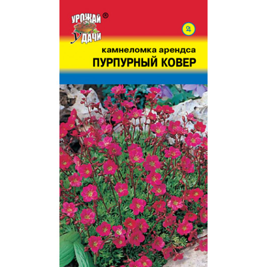 Камнеломка Пурпурный ковер 0,01г ц/п (УУ) 