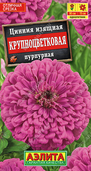 Цинния Крупноцветковая Пурпурная 0,3г ц/п (Аэлита)