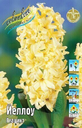 Гиацинт Йеллоу 14/15 1шт (КолЛайн) 3шт/уп
