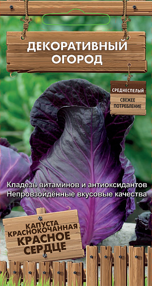 Капуста краснокочанная Красное сердце 0,1г ц/п (Поиск) Декорат.огород