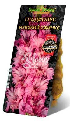 Гладиолус Невский Сфинкс 10/12 1шт (НК) 5шт/уп