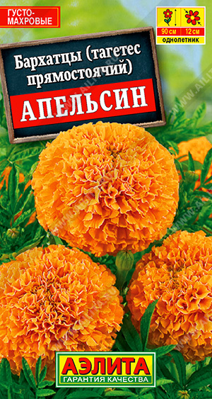 Бархатцы Апельсин 0,3г ц/п (Аэлита) 90см/12см