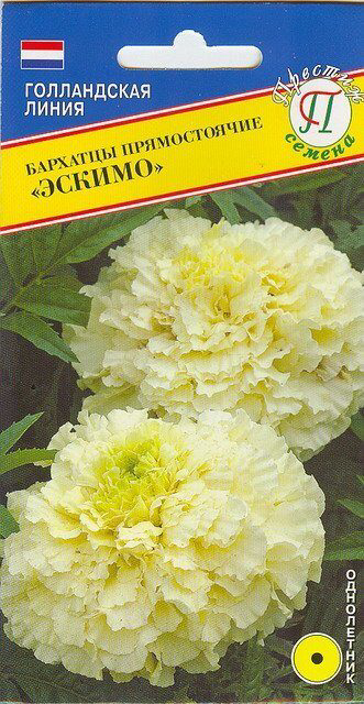 Бархатцы Эскимо F1 10шт (Престиж) 30см/6см ваниль/белые