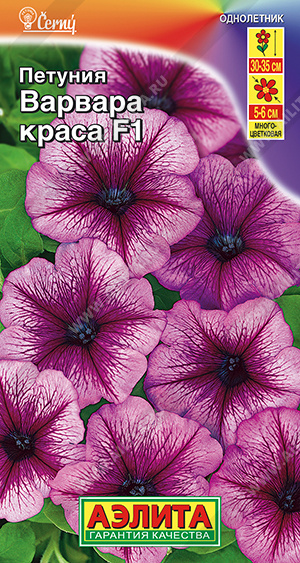 Петуния Варвара Краса F1 10шт ц/п (Аэлита)