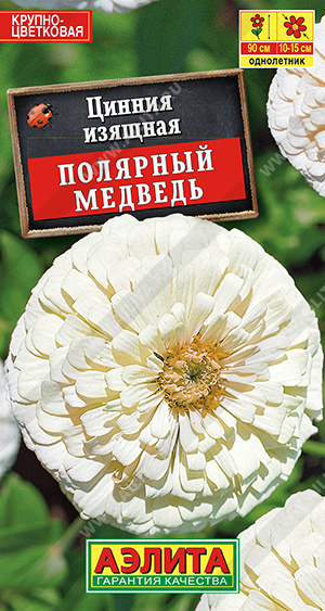Цинния Полярный медведь 0,3г ц/п *(Аэлита) 90см.белая.крупн