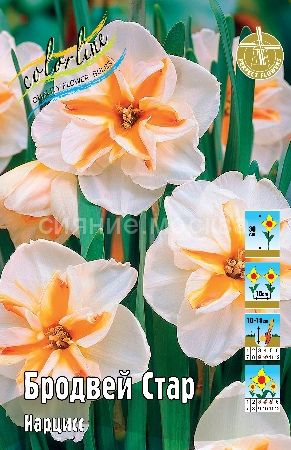 Нарцисс Бродвей Стар 12/14 1шт (КолЛайн) 5шт/уп