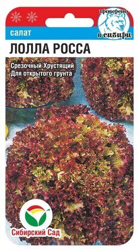 Салат Лолла Росса 0,5г (СибСад)