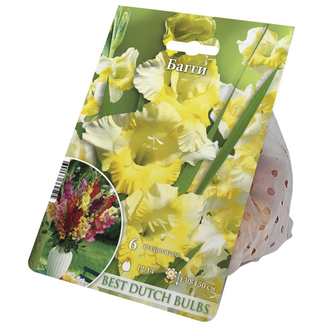 Гладиолус Багги 12/14 1шт (НК) 6шт/уп