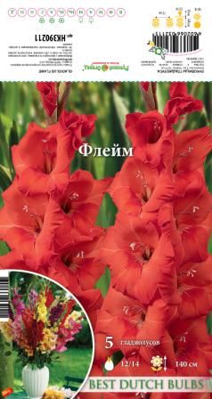 Гладиолус Флейм 12/14 1шт (НК) 5шт/уп