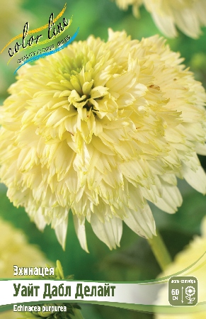 Эхинацея Уайт Дабл Делайт 1шт (КолЛайн)