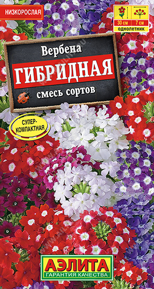 Вербена Гибридная, смесь 0,1г ц/п (Аэлита) 25см
