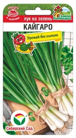 Лук на зелень Кайгаро 100шт (СибСад)