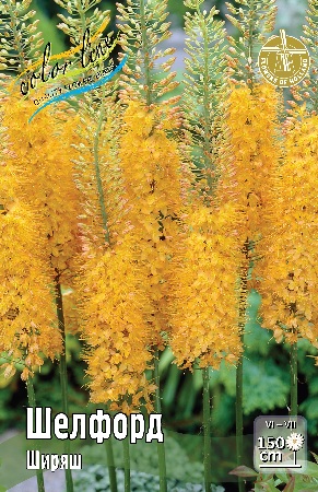 Ширяш Шелфорд 1шт (КолЛайн) 