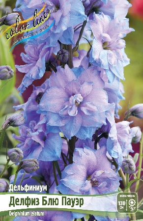 Дельфиниум Делфиз Блю Пауэр 1шт (КолЛайн)