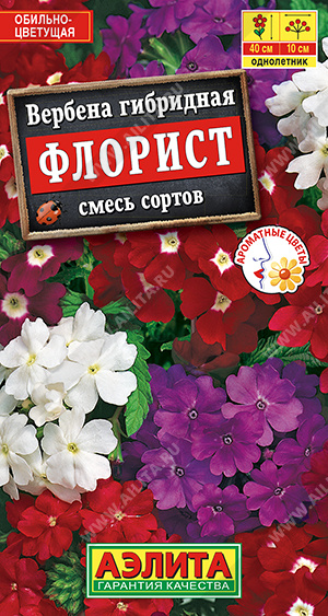 Вербена Флорист, смесь окрасок 40шт ц/п (Аэлита) 