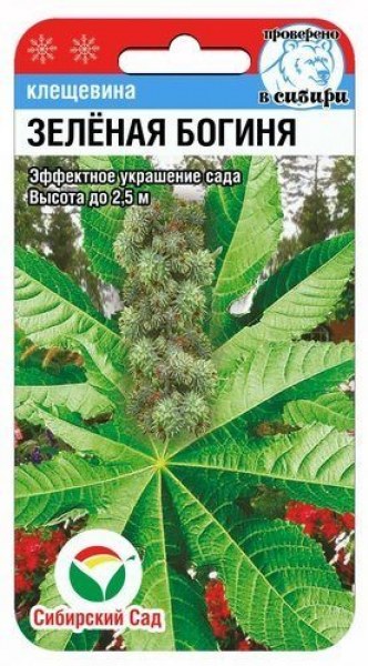 Клещевина Зеленая богиня 5шт (СибСад)