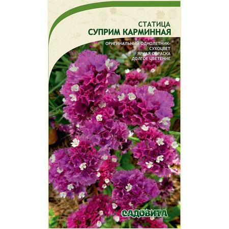 Статица Суприм Карминная 0,15г ц/п (Садовита)