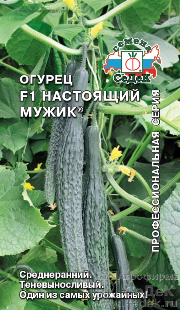 Огурец Настоящий мужик F1 0,2г ц/п (Седек) 35см,салатный, для осеннего и зимнего оборота