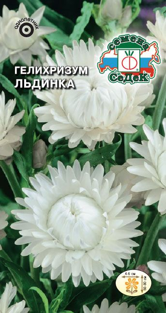 Гелихризум Льдинка (белый) 0,2г ц/п (Седек)