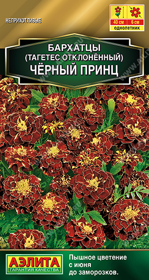 Бархатцы Черный принц 0,3г ц/п (Аэлита) 
