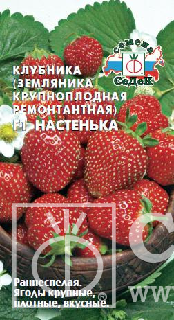 Земляника Настенька F1 0,04г ц/п (Седек)