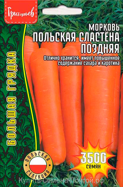 Морковь Польская Сластена поздняя 3500шт (Григорьев)