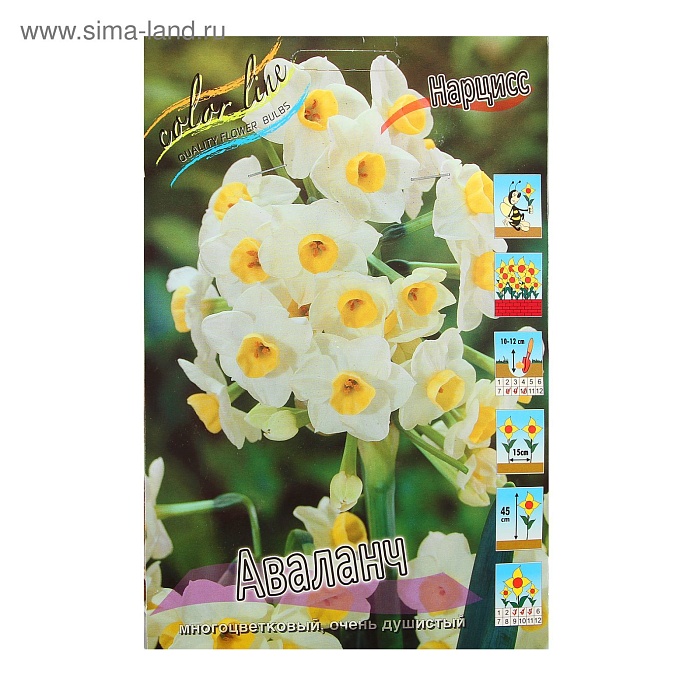 Нарцисс Аваланч 12/14 1шт (КолЛайн) 5шт/уп