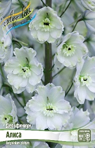 Дельфиниум Алиса 1шт (КолЛайн) 